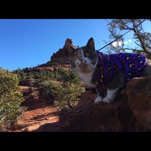 Meet your Posher, Yuka